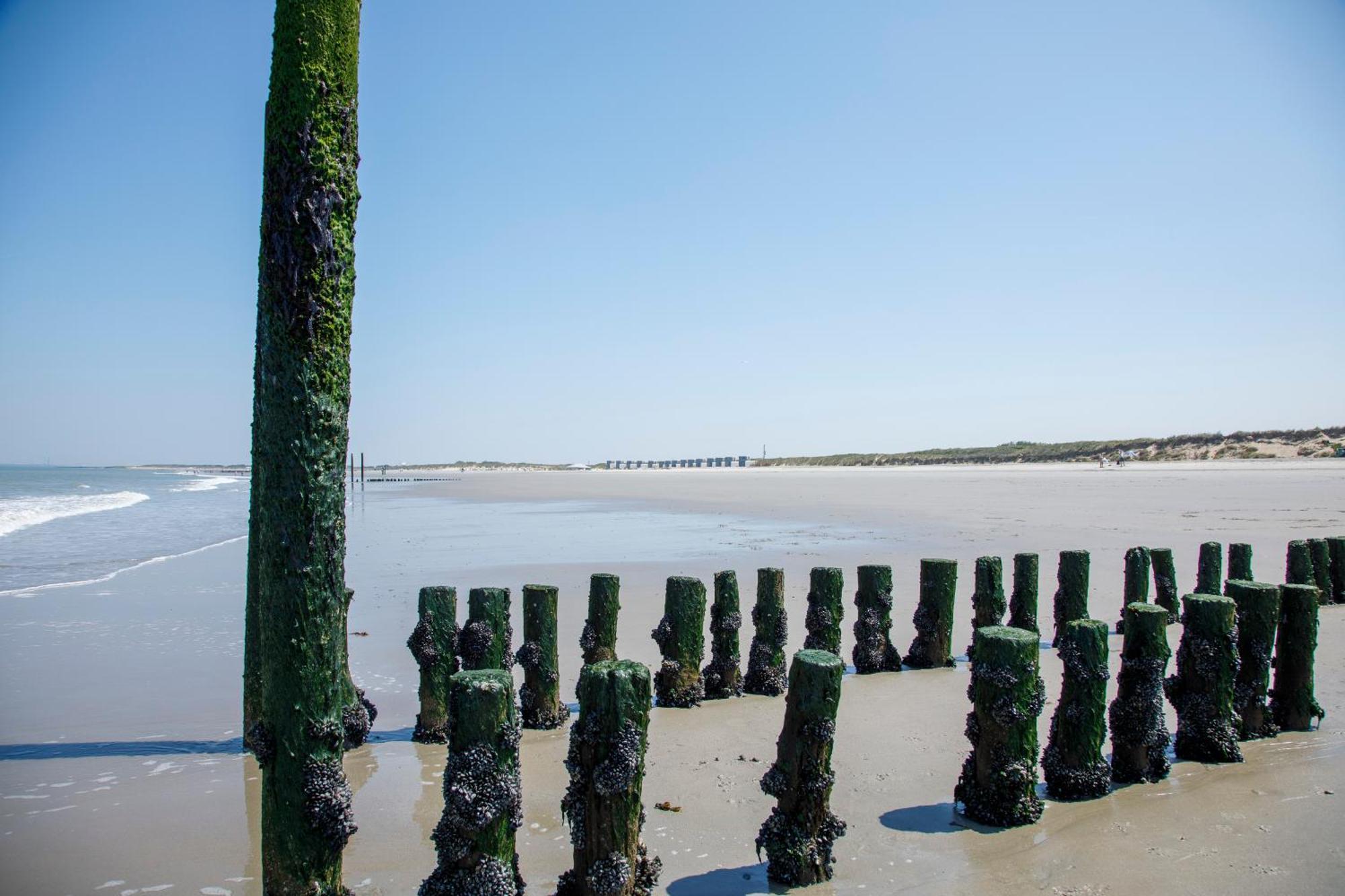 Zonneweelde, Vakantie Aan Zee นิวว์ฟลีท ภายนอก รูปภาพ